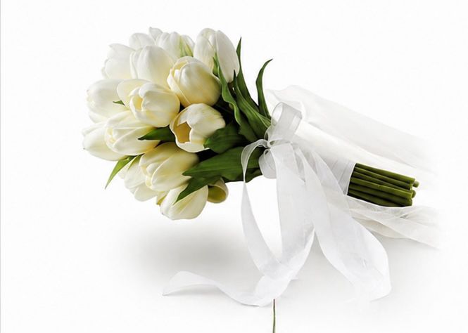 Buquê Especial Tulipas Brancas